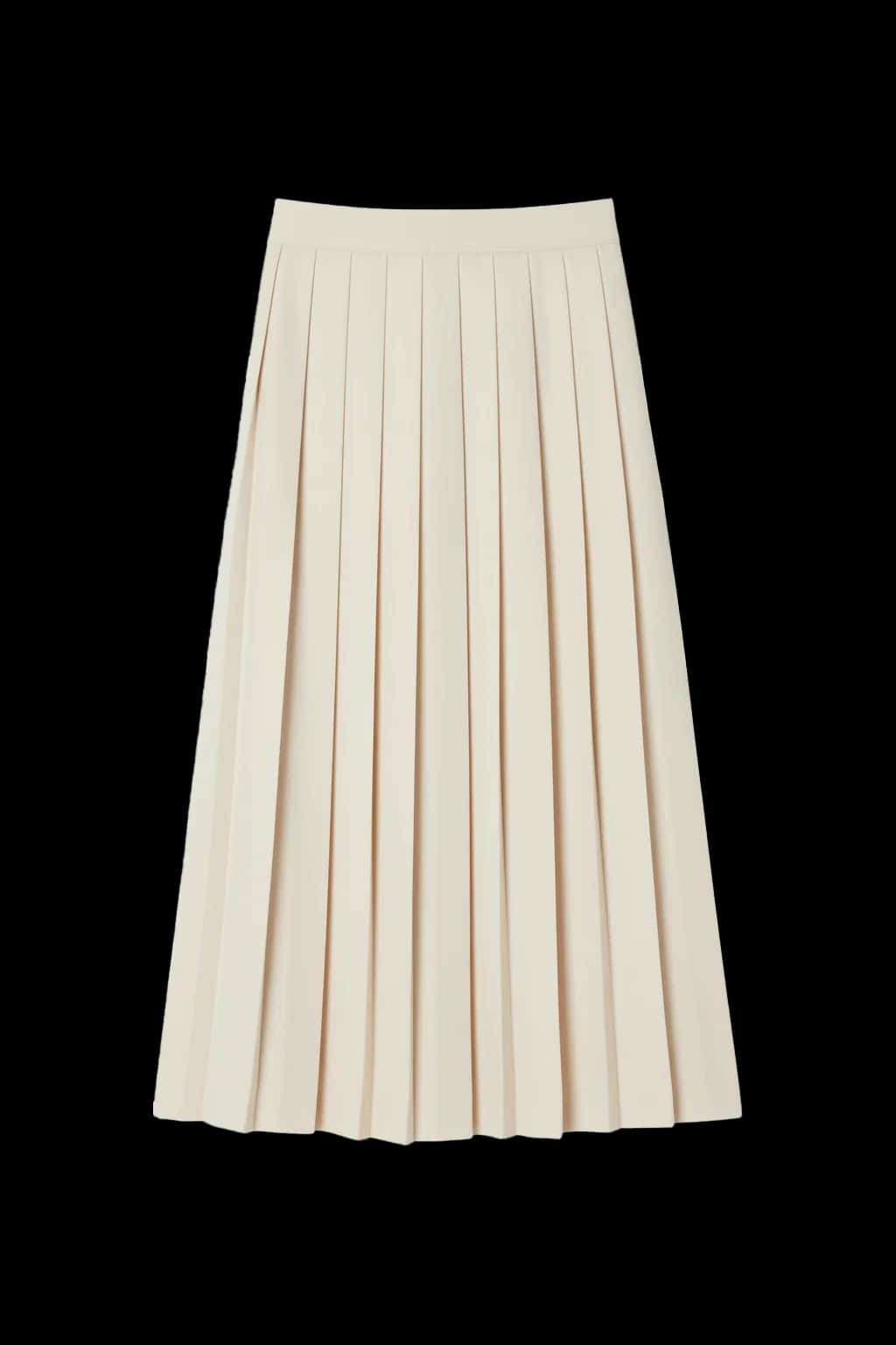 Pleated Skirt